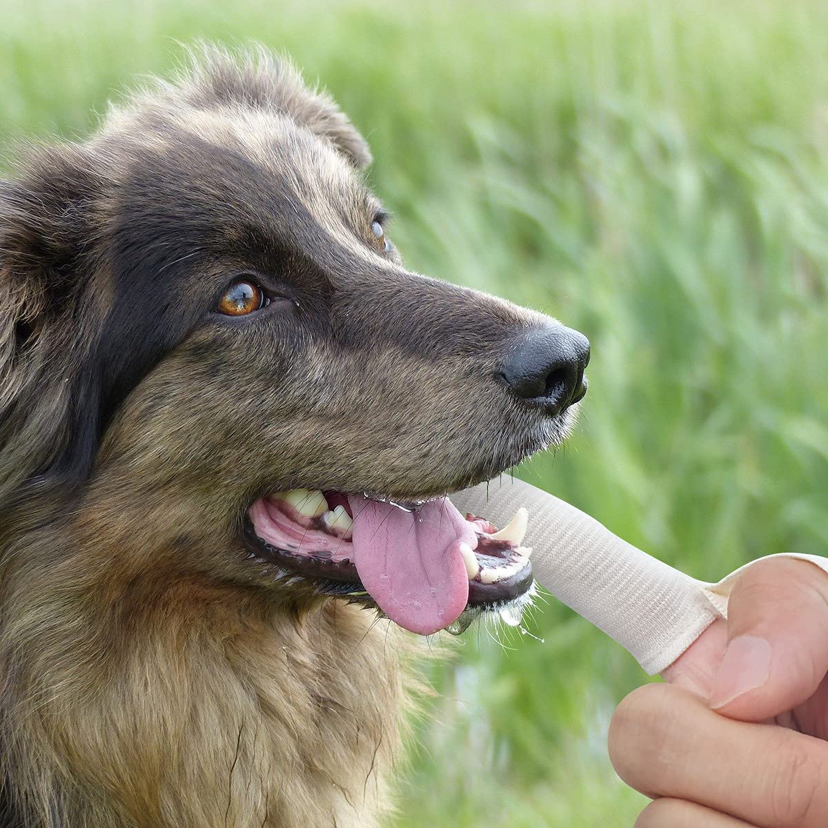 5pcs Organic Cotton Dental Finger Brush for Pets