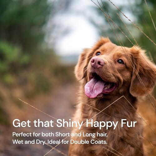 2 in 1 Deshedding Tool and Undercoat Rake for Long and Short Haired Dogs with Double Coat