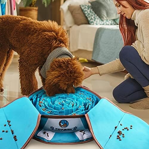 Interactive Dog Enrichment Games for Boredom Encourage Natural Foraging Skills