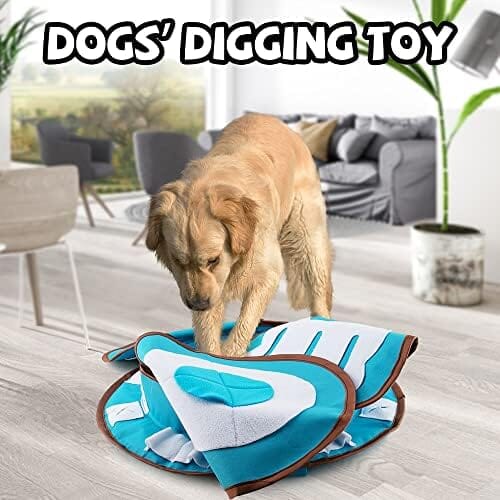 Interactive Dog Enrichment Games for Boredom Encourage Natural Foraging Skills